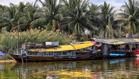 Capture the authentic charm of Vietnam’s lush scene